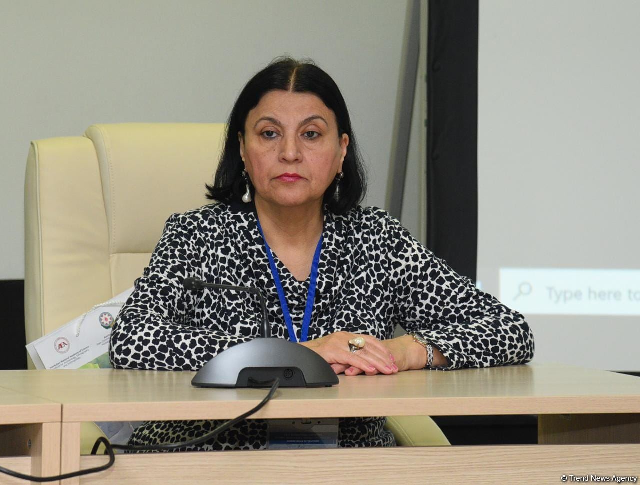 Bakıda I Qarabağ müharibəsində itkin düşənlərlə bağlı beynəlxalq konfrans keçirilir (FOTO)