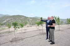 Prezident İlham Əliyev “Laçın” şəhər yarımstansiyasının açılışını edib (YENİLƏNİB) (FOTO/VİDEO)