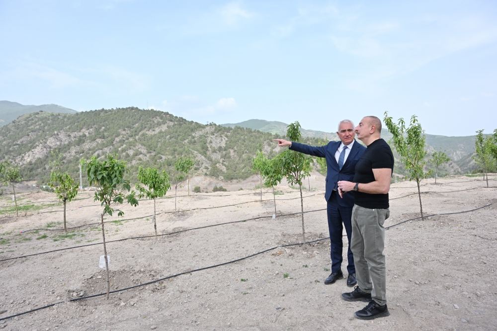 Prezident İlham Əliyev “Laçın” şəhər yarımstansiyasının açılışını edib (YENİLƏNİB) (FOTO/VİDEO)