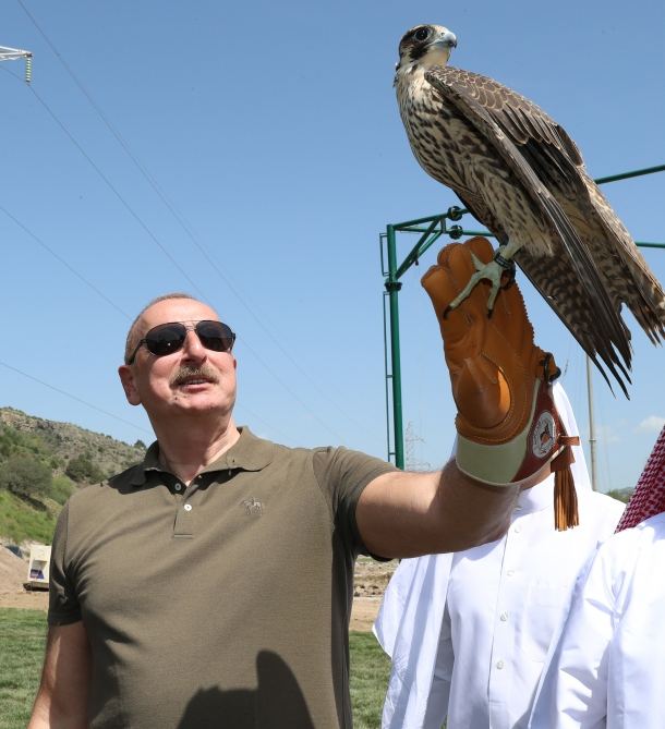 Prezident İlham Əliyev Laçında Şərqi Qafqaz turları və şahin quşları təbiətə, müxtəlif növ balıqlar Həkəri çayına buraxılması mərasimində iştirak edib (YENİLƏNİB) (FOTO/VİDEO)
