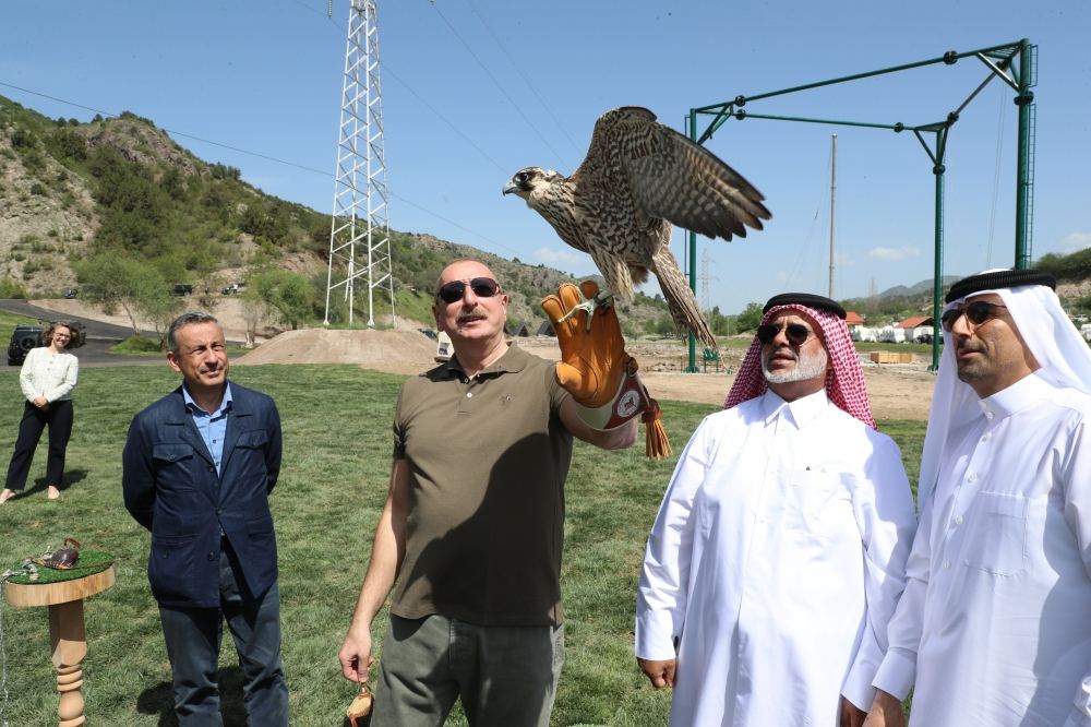 Prezident İlham Əliyev Laçında Şərqi Qafqaz turları və şahin quşları təbiətə, müxtəlif növ balıqlar Həkəri çayına buraxılması mərasimində iştirak edib (YENİLƏNİB) (FOTO/VİDEO)