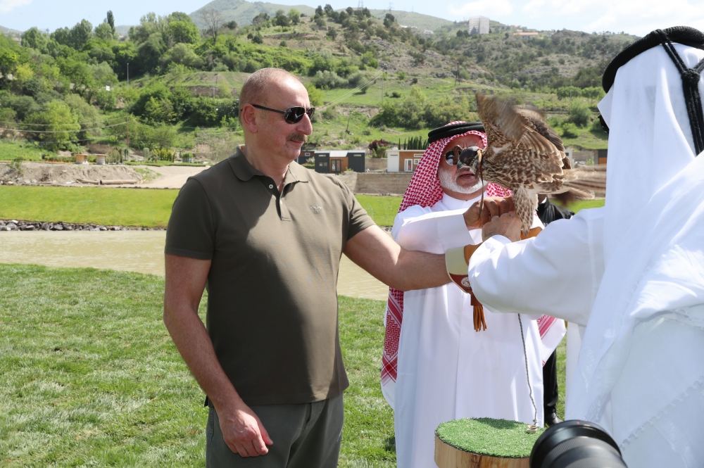 Prezident İlham Əliyev Laçında Şərqi Qafqaz turları və şahin quşları təbiətə, müxtəlif növ balıqlar Həkəri çayına buraxılması mərasimində iştirak edib (YENİLƏNİB) (FOTO/VİDEO)