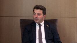 Qarabağın kütləvi minalanması insanlığa qarşı cinayətdir – Avropa parlamentinin deputatı "Baku Network" platformasında (FOTO/VİDEO)