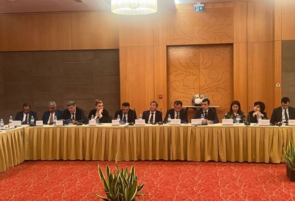 “Heydər Əliyev - müasir müstəqil Azərbaycanın memarı və Azərbaycan multikulturalizminin banisi" adlı Beynəlxalq konfrans keçirilib (FOTO)