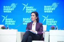 Xəzər regionu enerji habına çevrilib - Pərviz Şahbazov (FOTO)