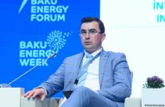 Xəzər regionu enerji habına çevrilib - Pərviz Şahbazov (FOTO)