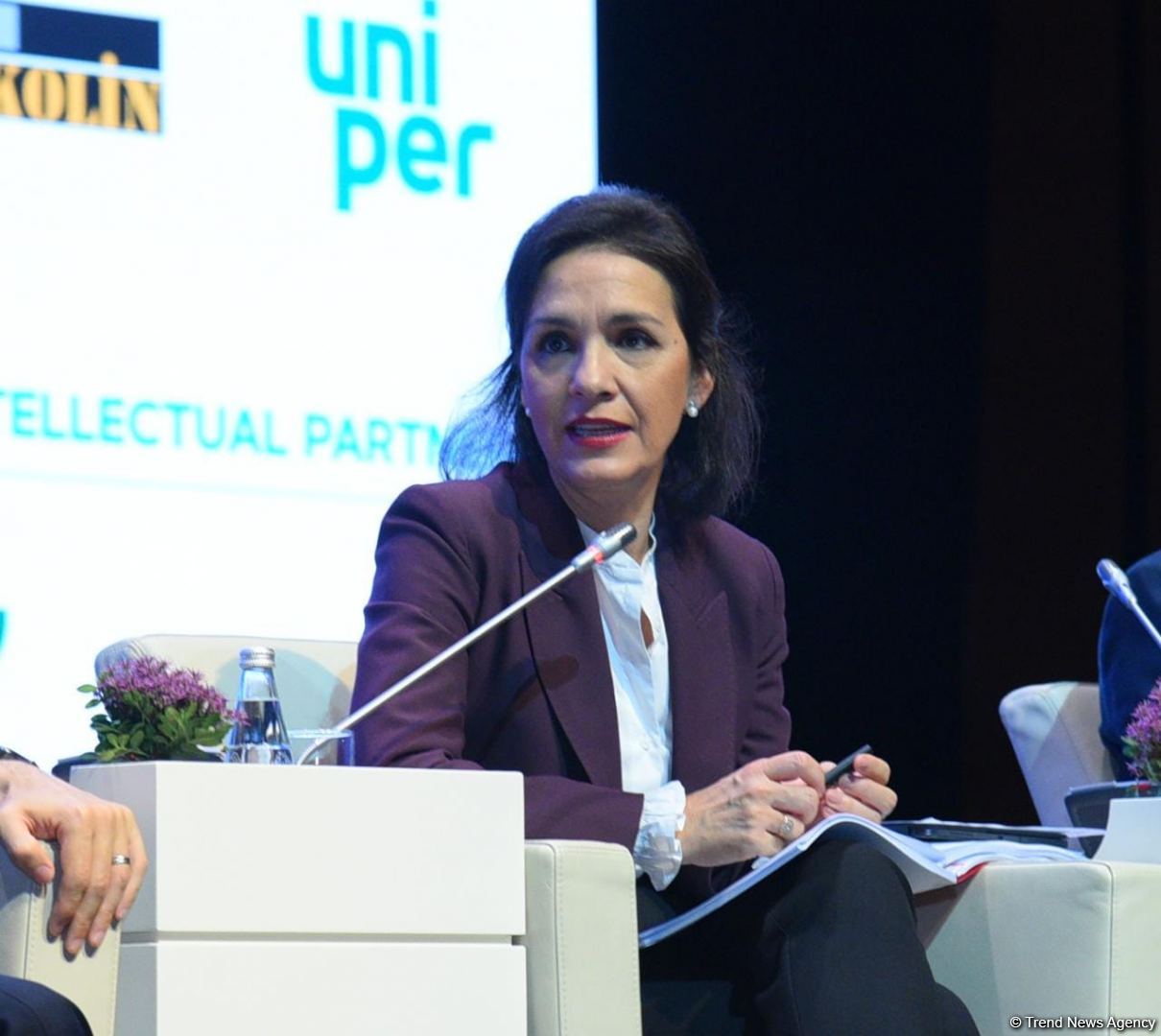 Xəzər regionu enerji habına çevrilib - Pərviz Şahbazov (FOTO)