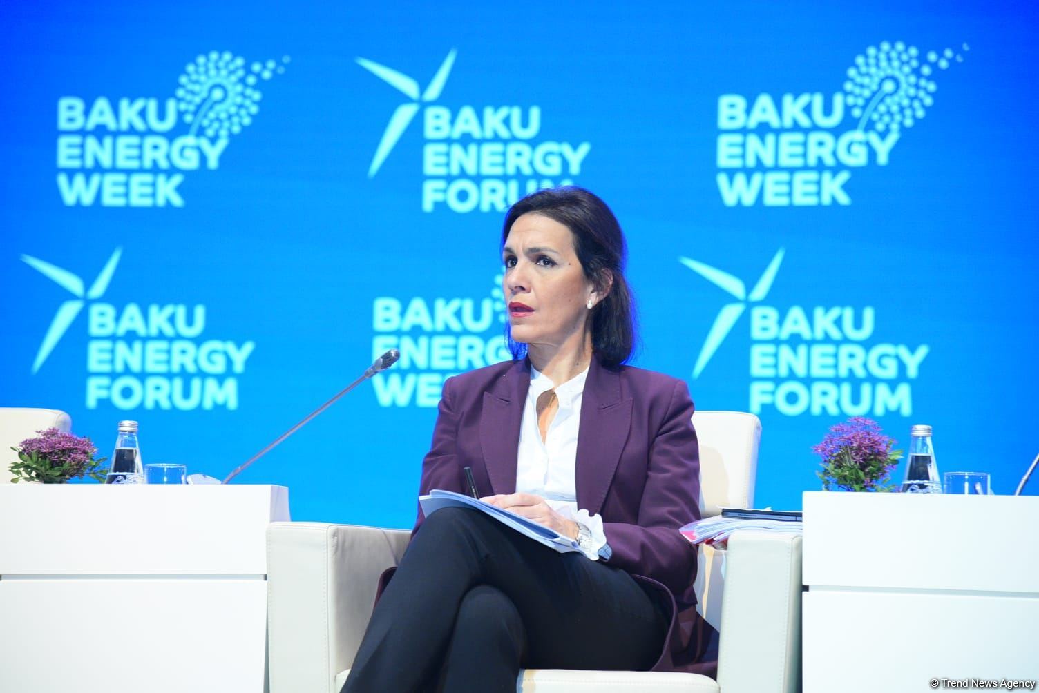 Xəzər regionu enerji habına çevrilib - Pərviz Şahbazov (FOTO)