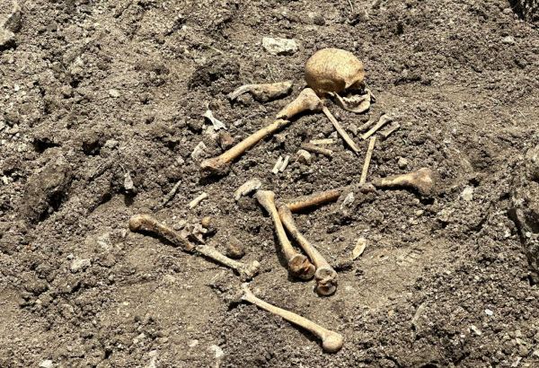 İtkin düşmüş 102 şəxsin eyniləşdirilməsi aparılıb, onlardan 35-nin qalıqları təhvil verilib - Cəmilağa Ağayev