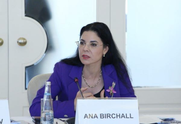 Azərbaycanın sayəsində bu il enerji məsələsində rahat olduq - Ana Birçal