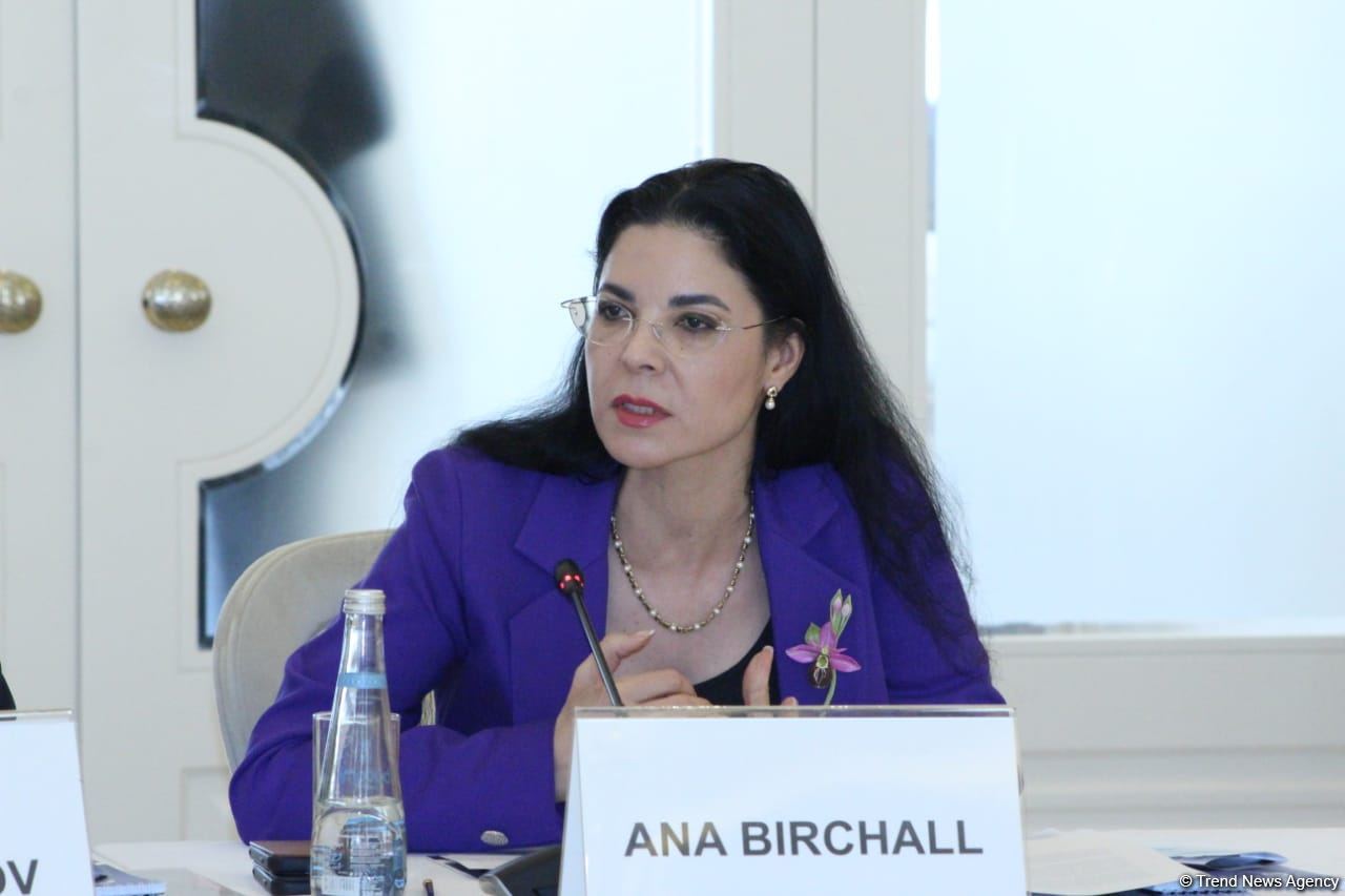 Azərbaycanın sayəsində bu il enerji məsələsində rahat olduq - Ana Birçal