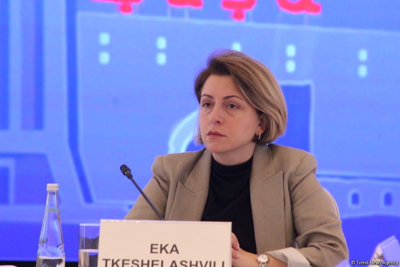 Şuşada enerji, iqtisadiyyat, ətraf mühit mövzusunda beynəlxalq tədbir keçirilir (FOTO)