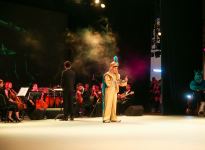 “Disney” multimedia şousu təqdim edilib (FOTO/VİDEO)