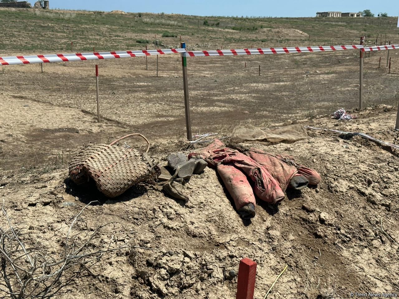 Ağdamda kütləvi məzarlıq aşkarlanıb (FOTO/VİDEO)