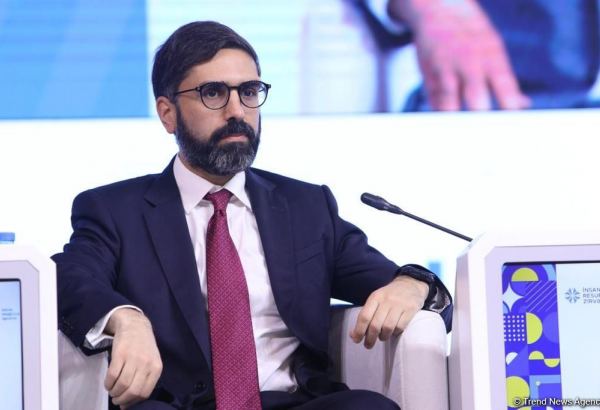 Azərbaycan qaz tədarükünü artırmağa hazırdır - Rövşən Nəcəf