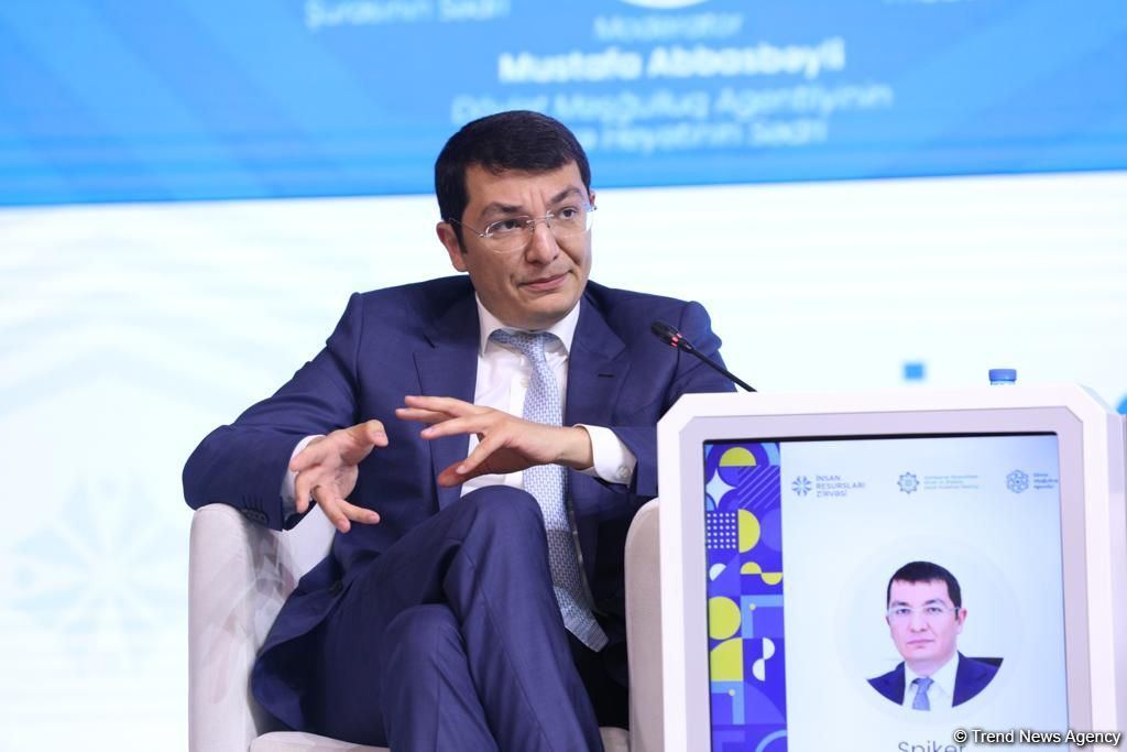 Rəqəmsal iqtisadiyyat strategiyası hazırlanır - Nazir müavini