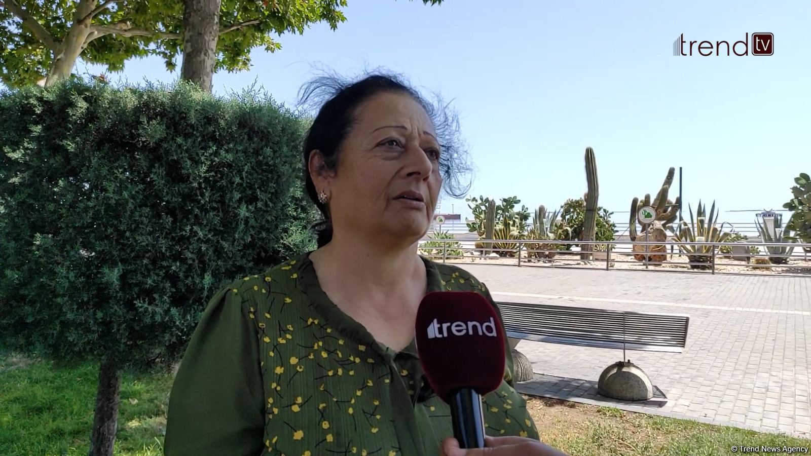 Paytaxt sakinləri bulvarda kaktuslara zərər vurulmasına kəskin etiraz edir (VİDEOREPORTAJ)
