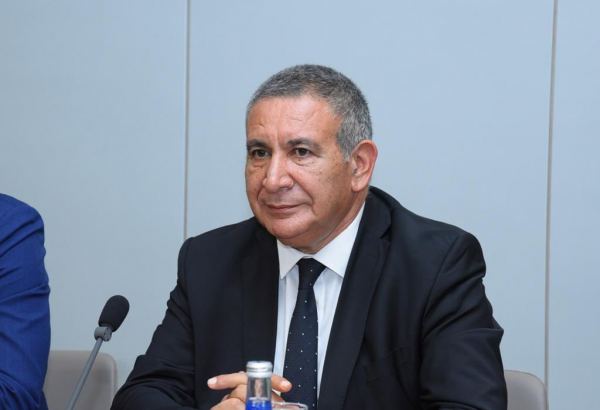 Ermənistan jurnalistlərinin arzusu olarsa, Azərbaycana gəlmələrində bir problem olmaz - Rəşad Məcid