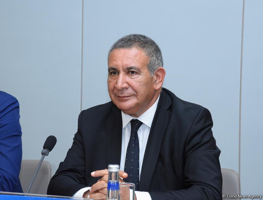 Ermənistan jurnalistlərinin arzusu olarsa, Azərbaycana gəlmələrində bir problem olmaz - Rəşad Məcid
