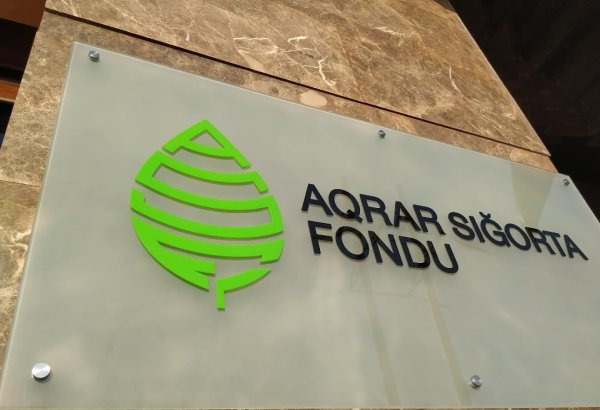 Azərbaycanda heyvanların sığortalanması şərtləri açıqlanıb