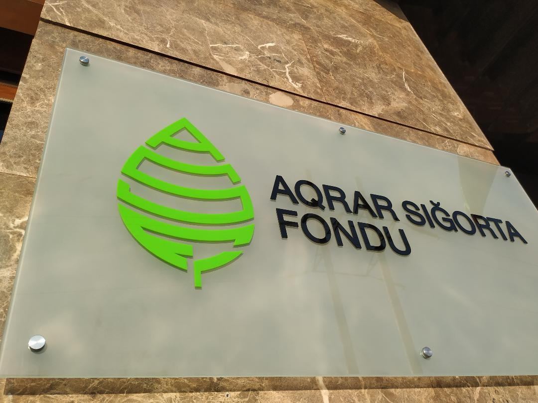 Azərbaycanda heyvanların sığortalanması şərtləri açıqlanıb