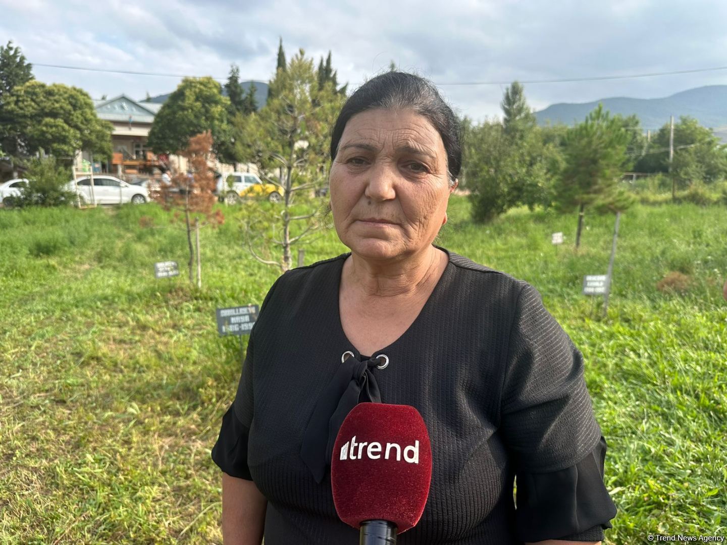Qanın izi ilə gedib anamı tapdıq - Meşəli soyqırımının şahidi