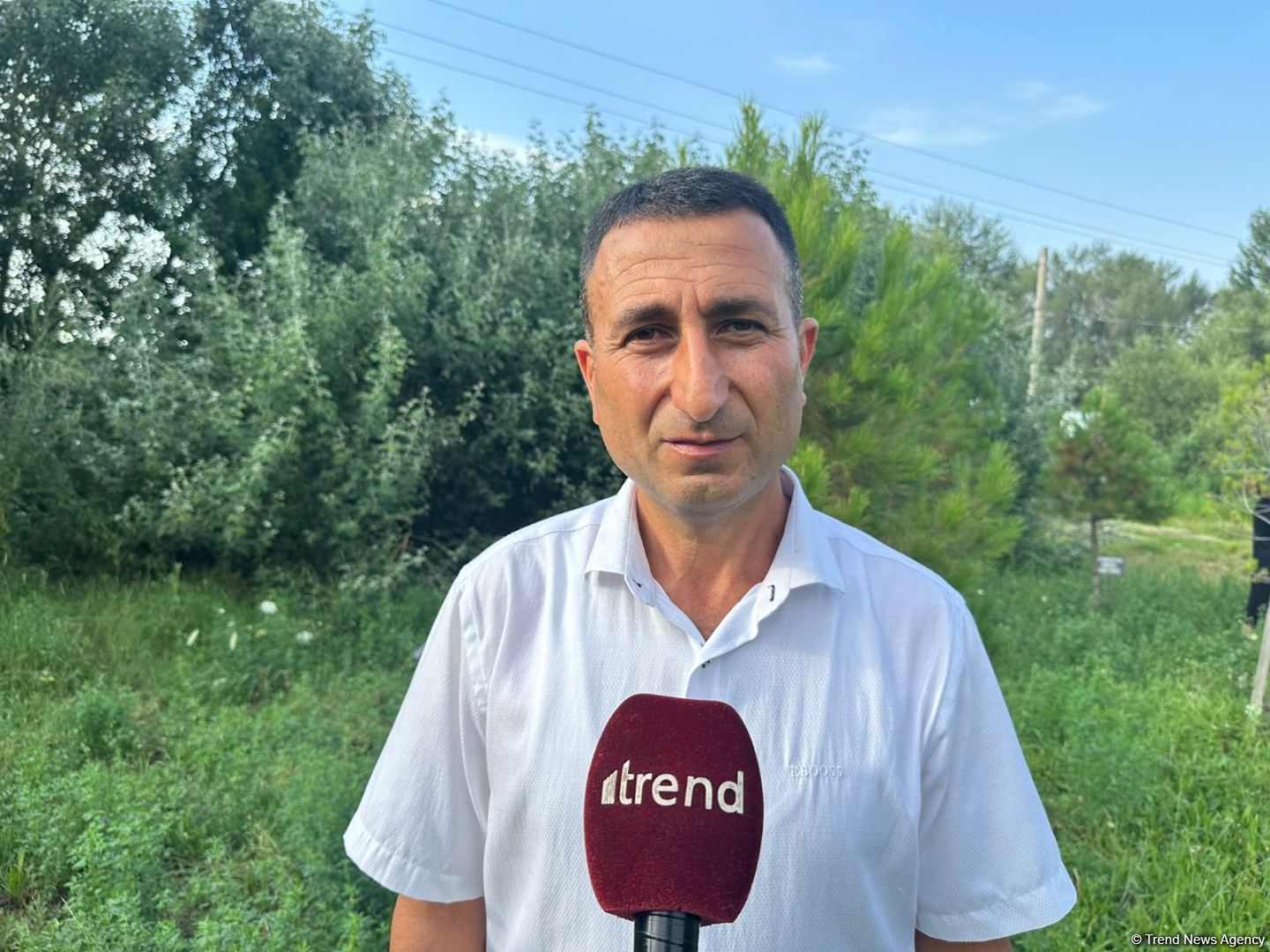 Biz həm Xocalı, həm Meşəli faciəsini yaşamışıq - Meşəli faciəsinin şahidi