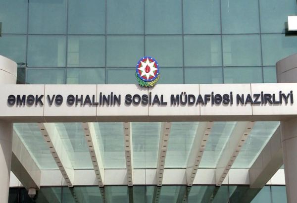 “Sosial işin idarə edilməsi” altsistemi yaradılacaq