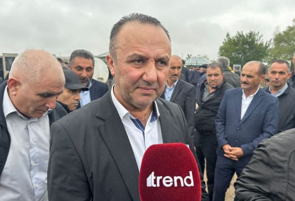 Əli çox vətənpərvər insan idi - Şəhidin qardaşı