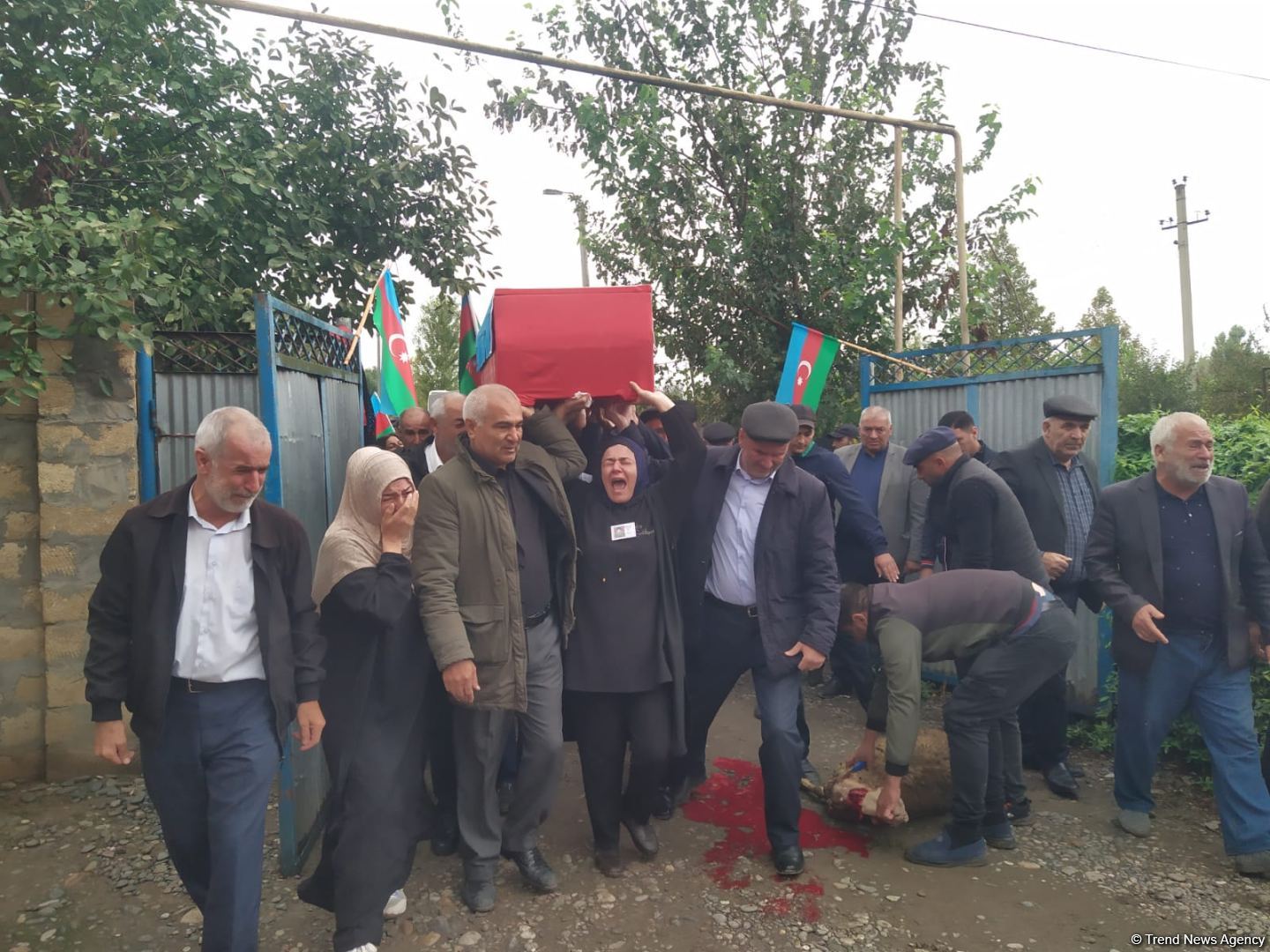 30 ildən sonra nəşi gətirildi - Önündə qurban kəsdilər (FOTO)
