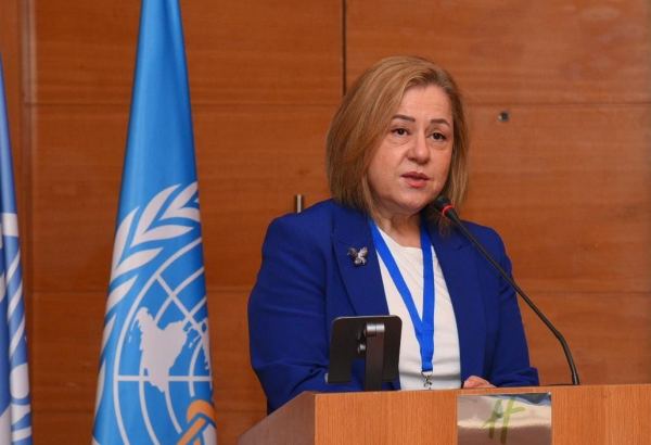 Azərbaycanda sağlam şəhərlərin yaradılması üçün danışqlar aparılır - ÜST rəsmisi