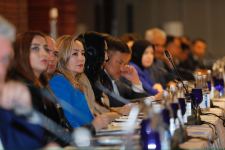 Bakıda pestisidlərdən istifadənin idarə edilməsinə dair regional seminar işə başlayıb (FOTO)