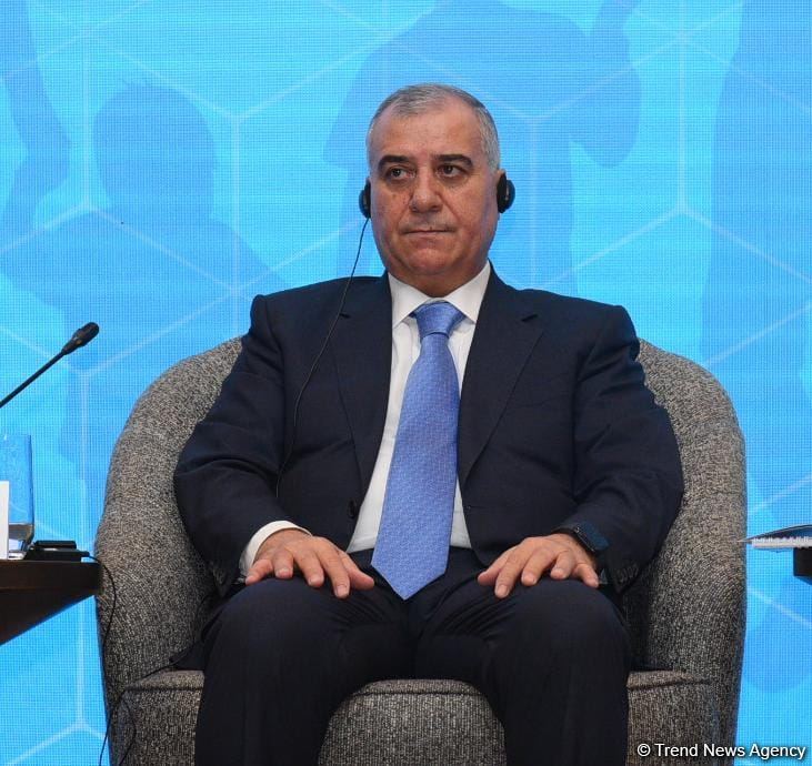 Bakıda itkin düşmüş şəxslərlə bağlı beynəlxalq tədbir keçirilir (FOTO) (YENİLƏNİB)