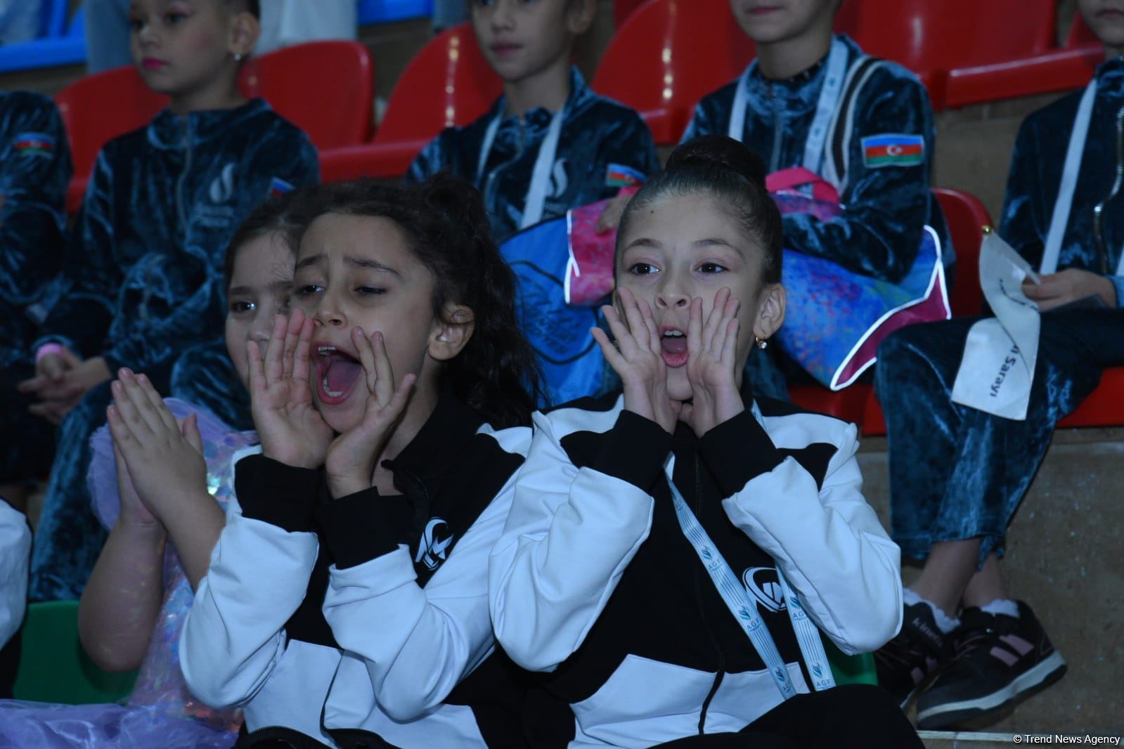 Naxçıvanda bədii gimnastika üzrə "Grace of Nature" Beynəlxalq turnirinə start verilib (FOTO)