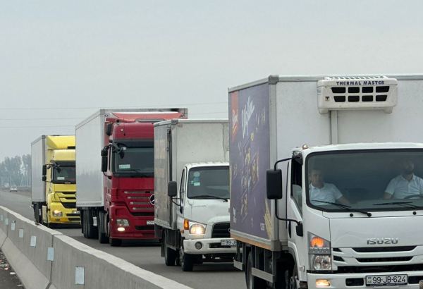 Azərbaycandan İtaliyaya tonlarla qurbağa ayağı göndərilib