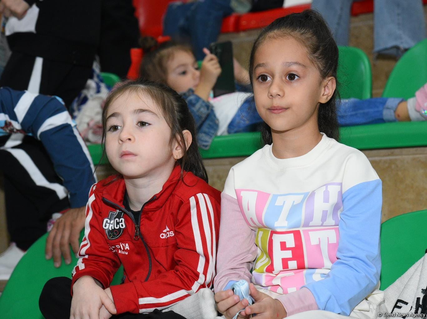 Naxçıvanda bədii gimnastika üzrə "Grace of Nature" Beynəlxalq turnirinin son gününə start verilib (FOTO)
