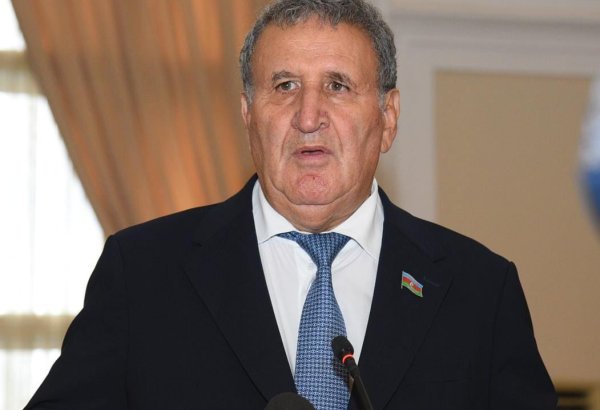 Ermənistan mərhələ-mərhələ Qərbi Azərbaycandakı toponimləri tamamilə erməniləşdirib - İsa Həbibbəyli