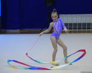 Bədii gimnastika üzrə 28-ci Bakı çempionatına start verilib (FOTO)