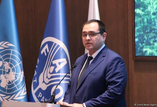 Azad olunmuş ərazilərdə kənd ətrafı torpaqların fermerlərə təhkim olunmasına başlanılıb