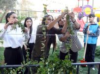 Leyla Əliyevanın iştirakı ilə növbəti “Bizim həyət”in açılışı olub (FOTO)