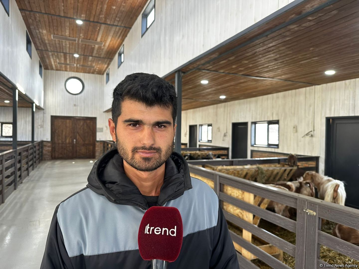Laçınlıların məşğuliyyəti daim diqqətdədir (FOTO)