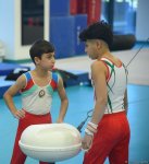 Kişi və qadın idman gimnastikası üzrə Azərbaycan çempionatları və Bakı birinciliyinin yarışlarına start verilib (FOTO)
