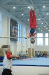 Kişi və qadın idman gimnastikası üzrə Azərbaycan çempionatları və Bakı birinciliyinin yarışlarına start verilib (FOTO)