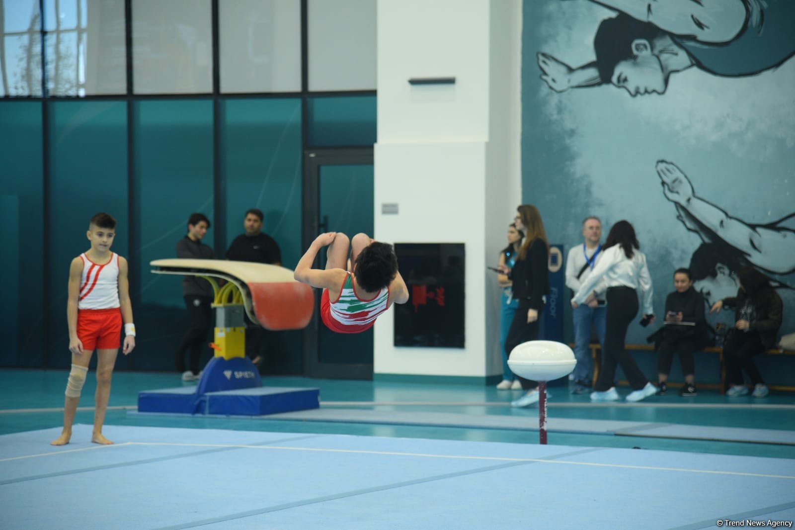 Kişi və qadın idman gimnastikası üzrə Azərbaycan çempionatları və Bakı birinciliyinin yarışlarına start verilib (FOTO)