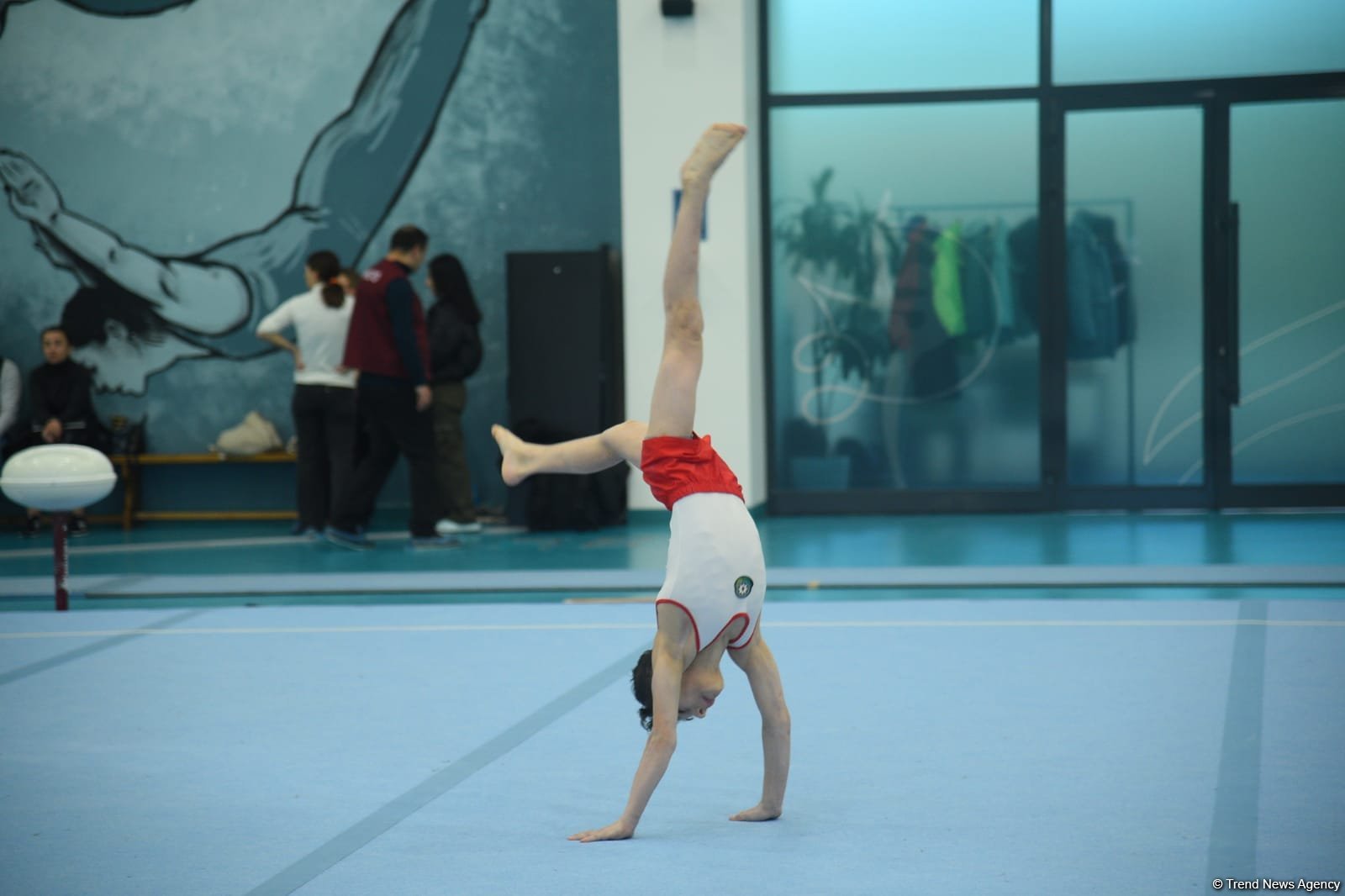 Kişi və qadın idman gimnastikası üzrə Azərbaycan çempionatları və Bakı birinciliyinin yarışlarına start verilib (FOTO)