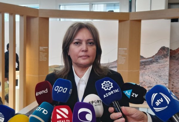 Azərbaycan yaşıllaşdırma fəaliyyətinə görə regionun lideridir - Umayra Tağıyeva