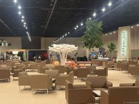 Azərbaycan COP28-də diqqət mərkəzində - ölkənin “yaşıl” layihələri niyə bu qədər vacibdir? (FOTO)
