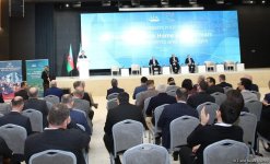 Xarici ekspertlərin iştirakı ilə Zəngilanda panel müzakirə keçirilib (FOTO)