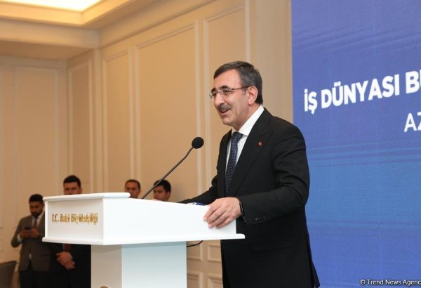 Azərbaycan-Türkiyə əlaqələri digər ölkələrə nümunədir - Türkiyənin vitse-prezidenti