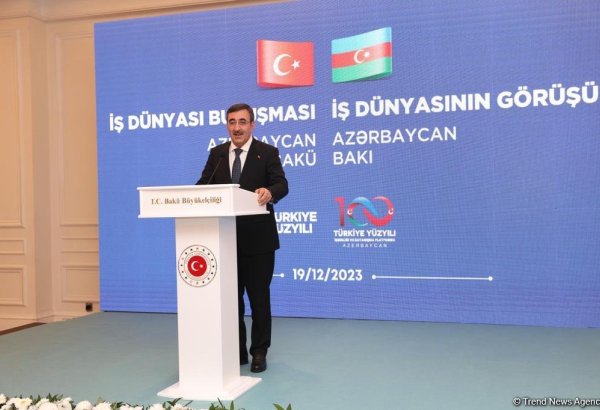 Cənubi Qafqaz ölkələrinin əməkdaşlığının genişləndirməsi hər kəs üçün xeyirli olacaq - Cevdet Yılmaz